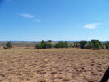 Next image